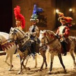 Horse Museum