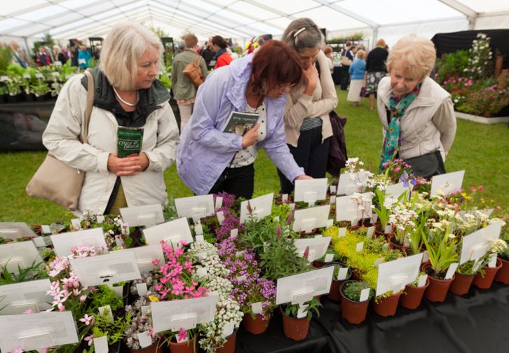 Travel Treats » Blenheim Palace Flower Show
