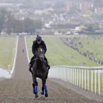 Gregorian on the Newmarket gallops for the open day