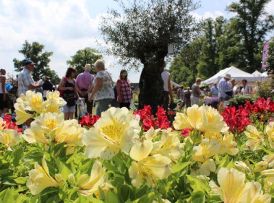 Blenheim Palace Flower Show